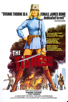 如何优化网站文章标题